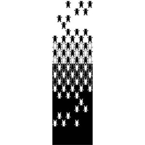 OPTICAL ILLUSION